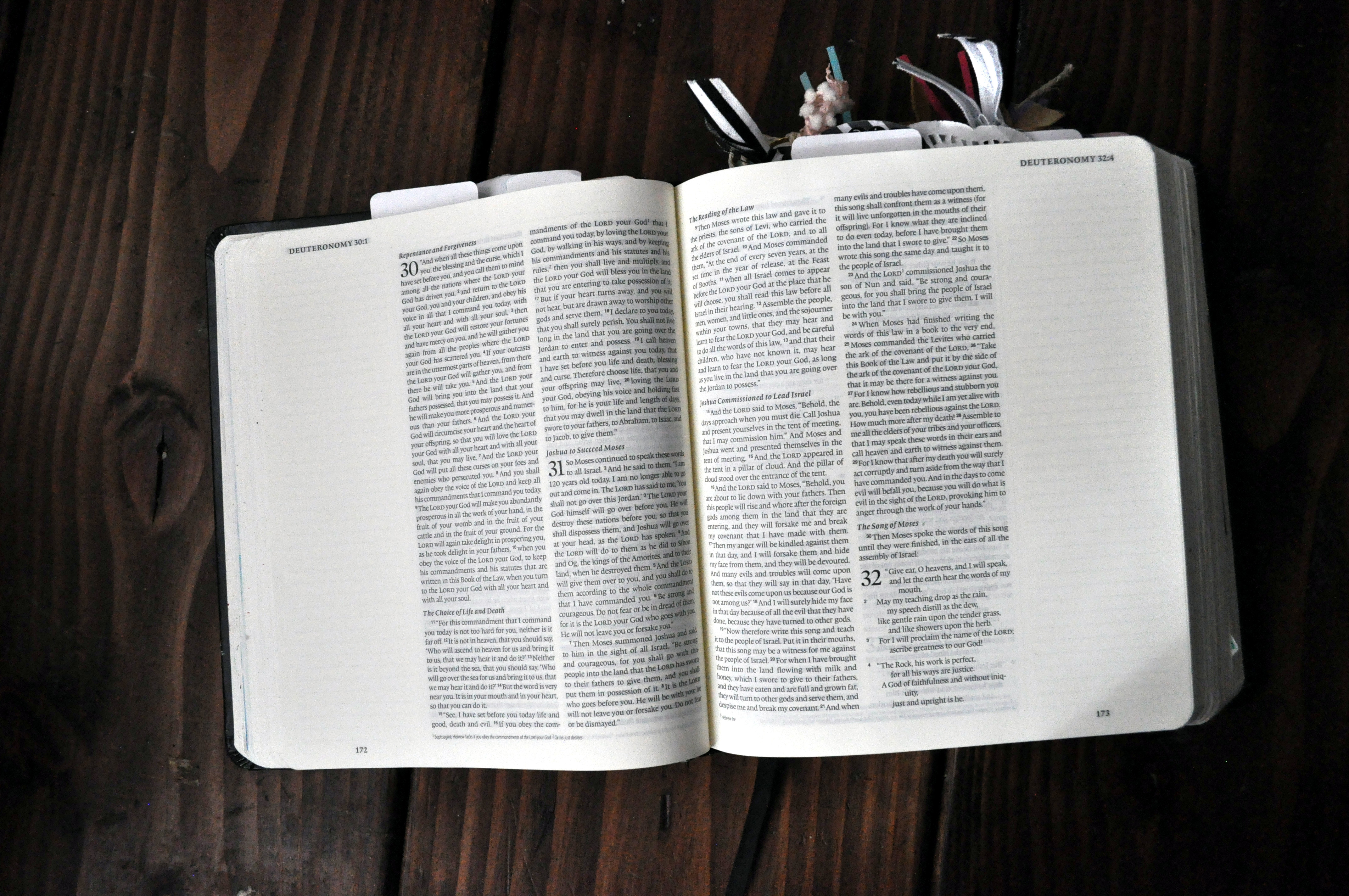 how to choose a journaling bible