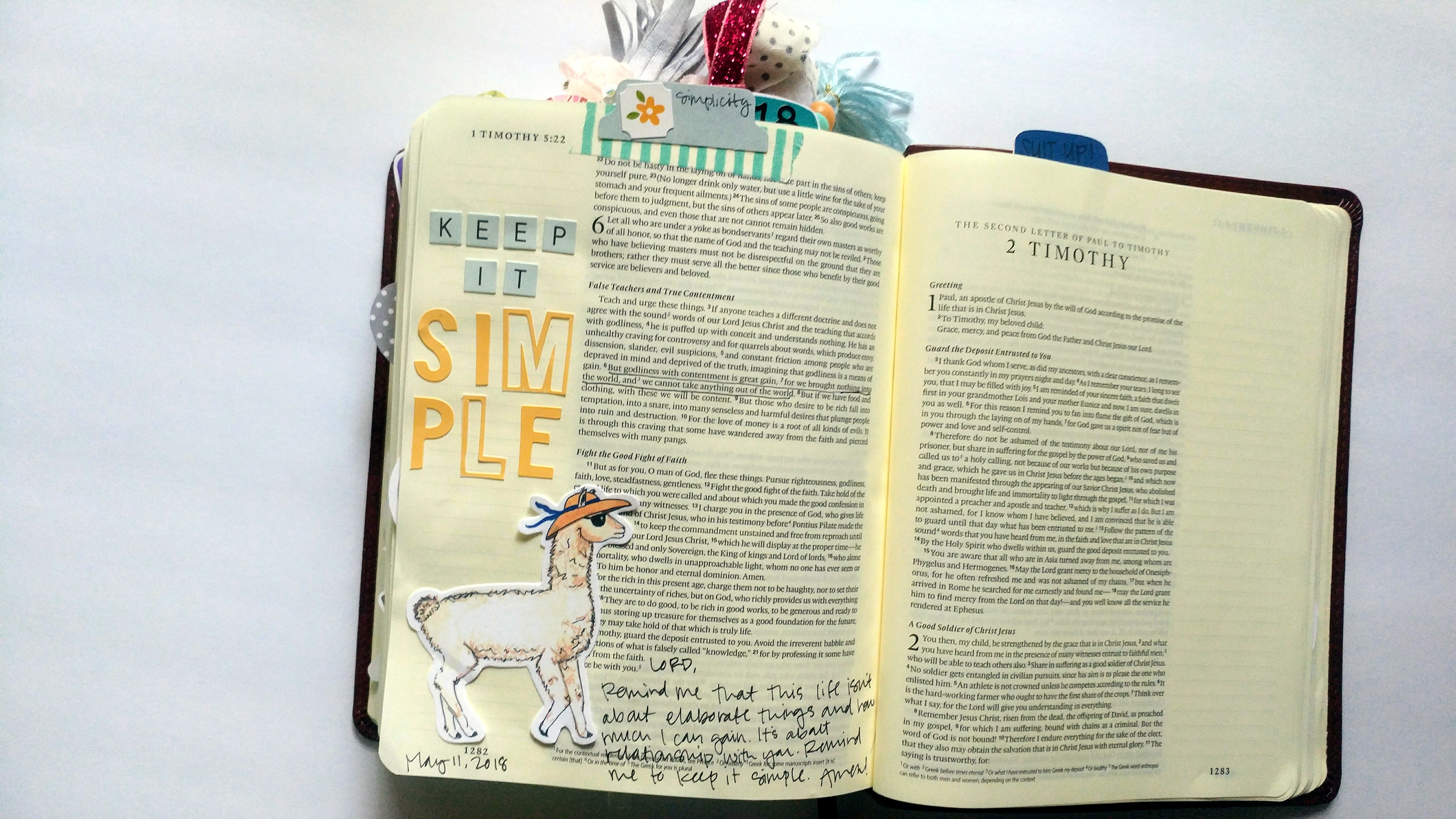 busy bible journaler