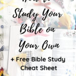 How to Study the Bible on Your Own + Bible Study Cheat Sheet