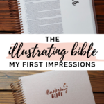 The Illustrating Bible! First Impressions